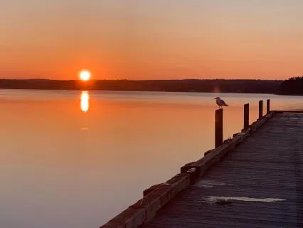 Yoga Nidra: When You Can't Slow Down