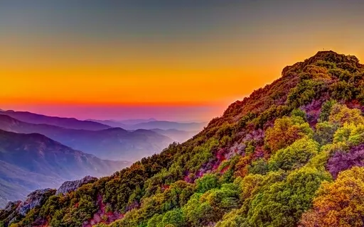 Yoga Nidra - Whole & Home Restful Embodiment