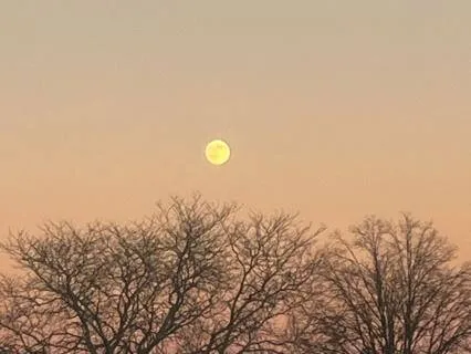 Yoga Nidra Winter Light