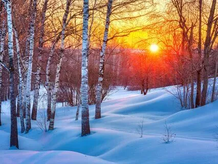 Yoga Nidra Winter Solstice