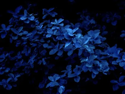 Yoga Nidra With Binaural Beats