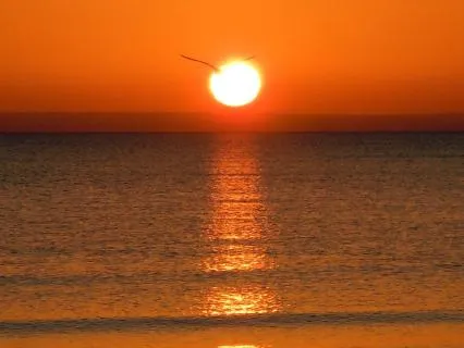 Yoga Nidra With Deep Body Scan For Stability