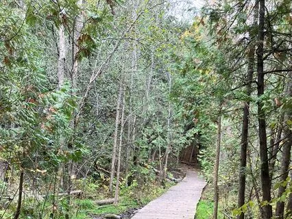 Yoga Nidra With Dhirga Breath