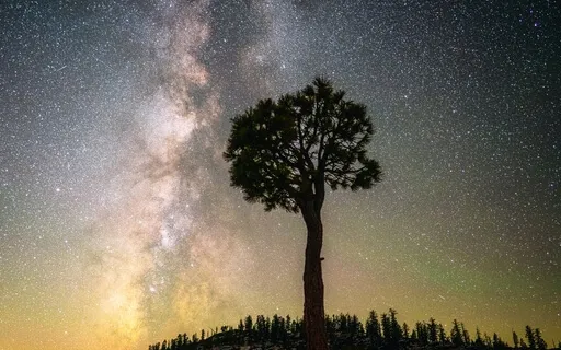 Yoga Nidra With Experiential Guided Imagery