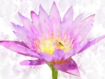 Yoga Nidra With Guided Imagery