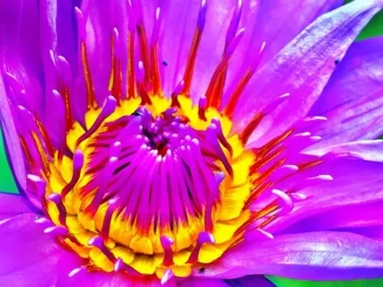 Yoga Nidra with Ho'oponopono for Self-Forgiveness