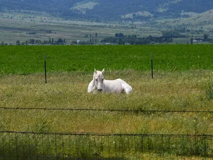 Yoga Nidra: Grounding