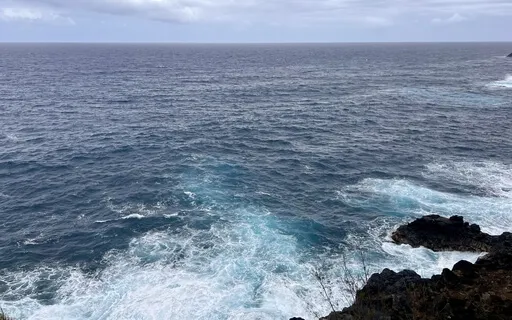 Yoga Nidra With Starry