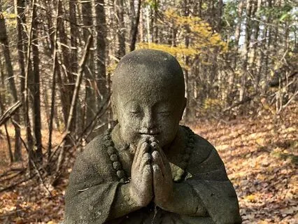 Yoga Nidra With The Chakras And Brahmari Breath