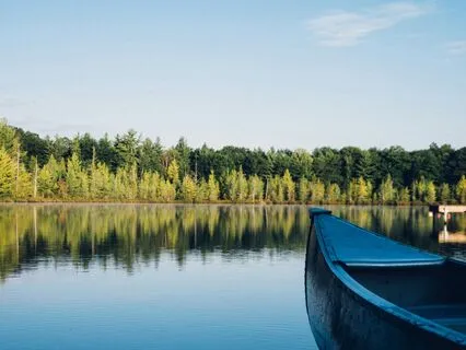 Yoga Nidra With The Land As Ancestor