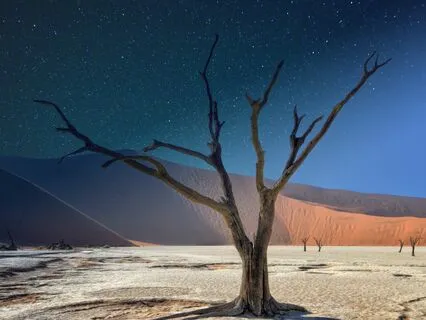 Yoga Nidra With Visualization