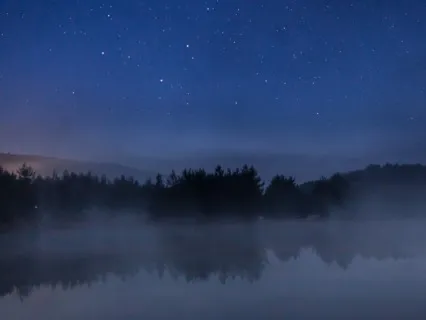 Yoga Nidra (Yogic Sleep)