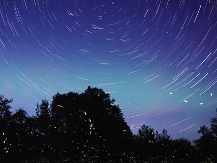 Yoga Nidra (Yogic Sleep)