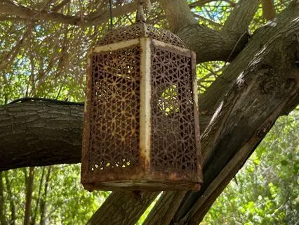 Yoga Nidra; You Are Held