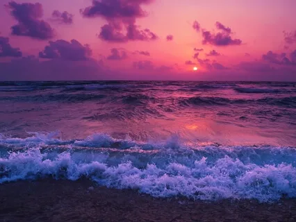 Yoga Nidra: Your Right To Rest