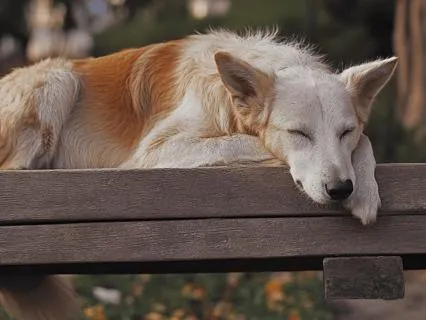 Yoga Nidra: Your Space To Rest