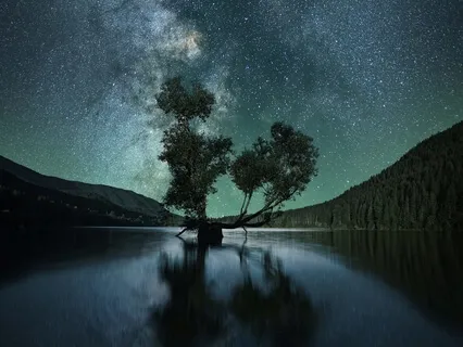 Yoga Nidra: Sleep Of The Yogi/Yogini