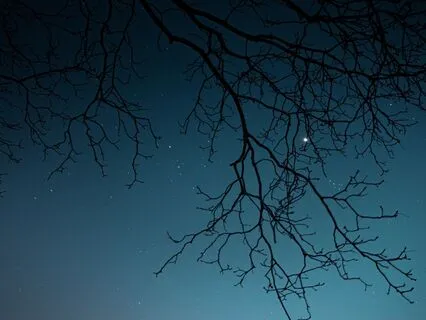 Yoga Nindra - Healing Sleep Music