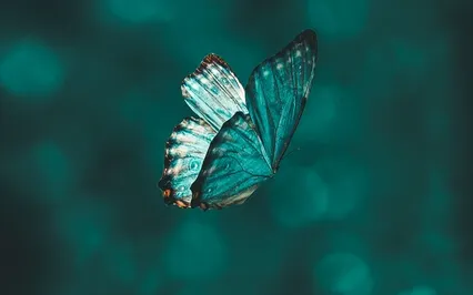 Yoga, Qi, Creativity & Challenges With Timothy Stuetz