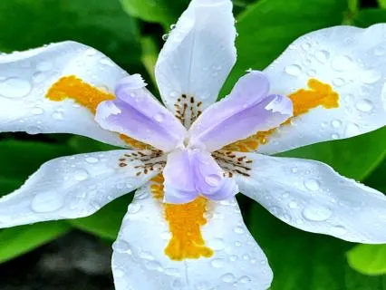 Yoga's Deep Inner Meaning To Practice