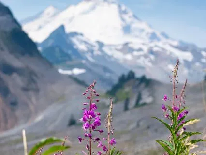 Yoga Sutra 1.2 : Quieting The Fluctuations Of The Mind