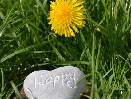 Yoga Sutra: 21-22 Seeker With Intense Aspiration Succeeds