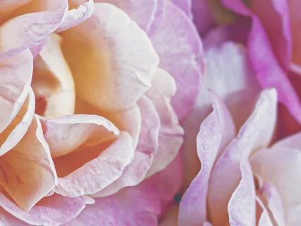 Yoga Sutra: 24-28 Seeker Should Know Clearly What He Is Seeking