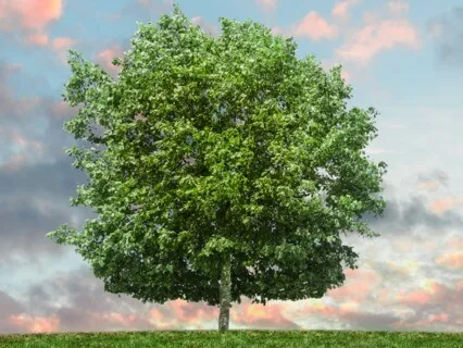 Yoga To Get Grounded