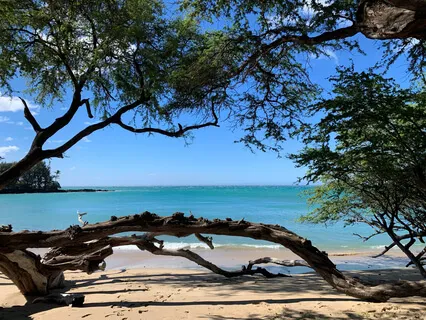 Yogic Breath Of Fire