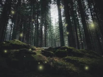 Yogic Sleep - Relaxation (Yoga Nidra)