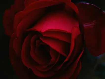 Yoni Healing Meditation No. 10 - Dance Of Liberation