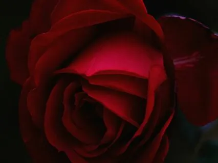 Breathwork Breathwork Sensual