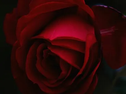 Yoni Healing Meditation No. 18 - Yoni Affirmations