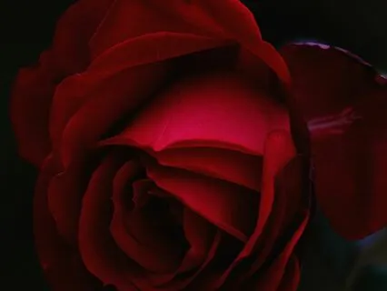 Blessing Blessing Yoni