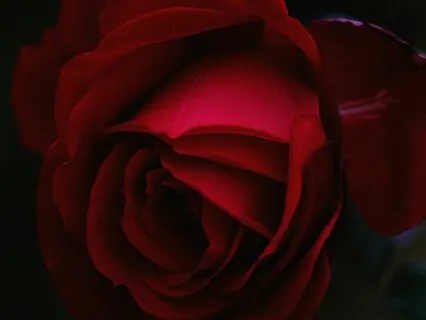 Divine Feminine Divine Feminine Mudra