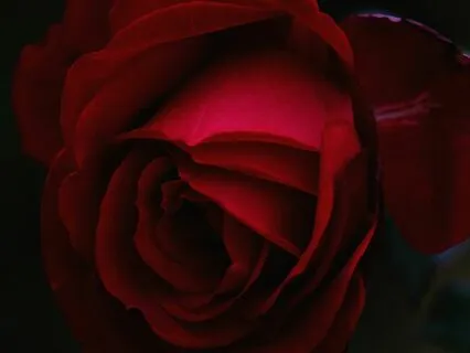 Rooted Breath Grounding Energy — Tantra Activation