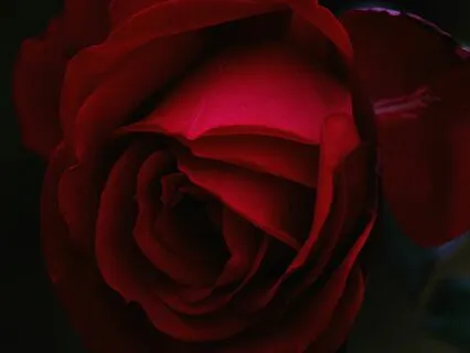 4 Elements 4 Elements Fusion