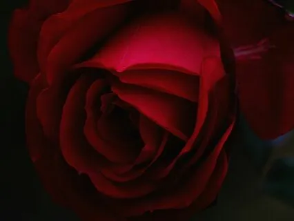 Shakti Shakti Shakti