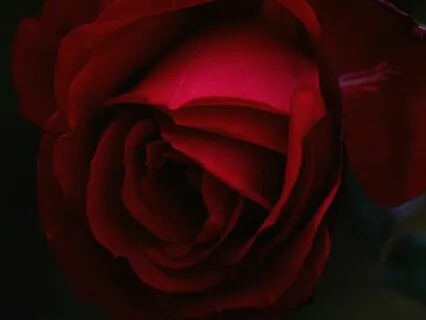 Sound Bath Sound Bath Healing