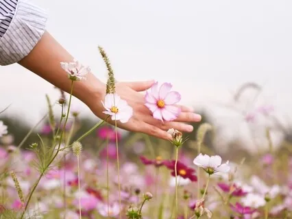 You Already Have The Answers