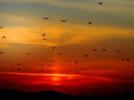 You Always Have A Choice