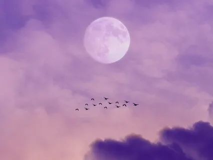 You & Others - Energy Clearing Meditation