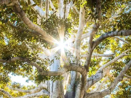 You And The World Are Creating Each Other - Guided Inquiry