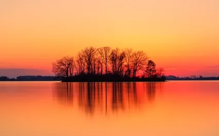 You Are A Field Of Awareness