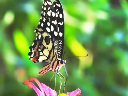 You Are A Force Of Nature | Poetry And Breath