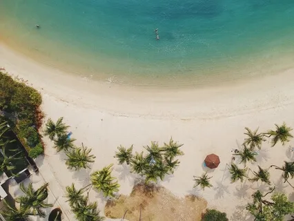 You Are A Living Wellness