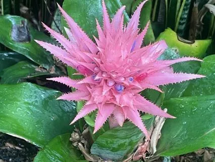 You Are A Radiant Being Of Light