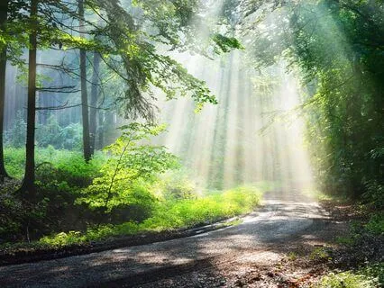 You Are Affirmations For When Times Are Tough