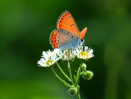 You Are Alive: A Poetic Meditation To Awaken