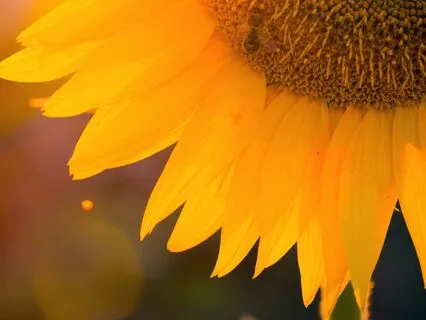 You Are Already Complete